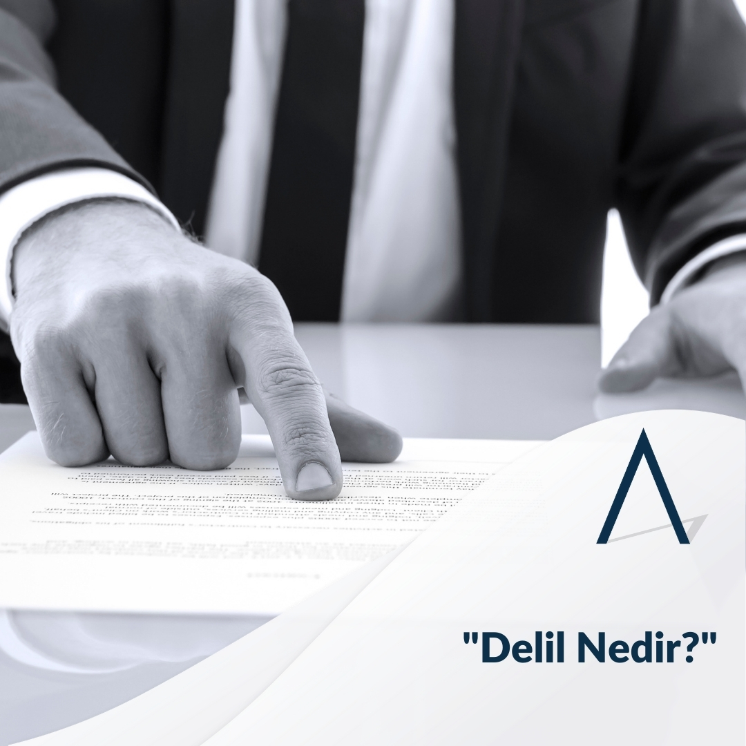 Delil nedir?